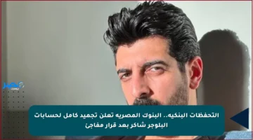 التحفظات البنكية.. البنوك المصرية تعلن تجميد كامل لحسابات البلوجر شاكر بعد قرار مفاجئ